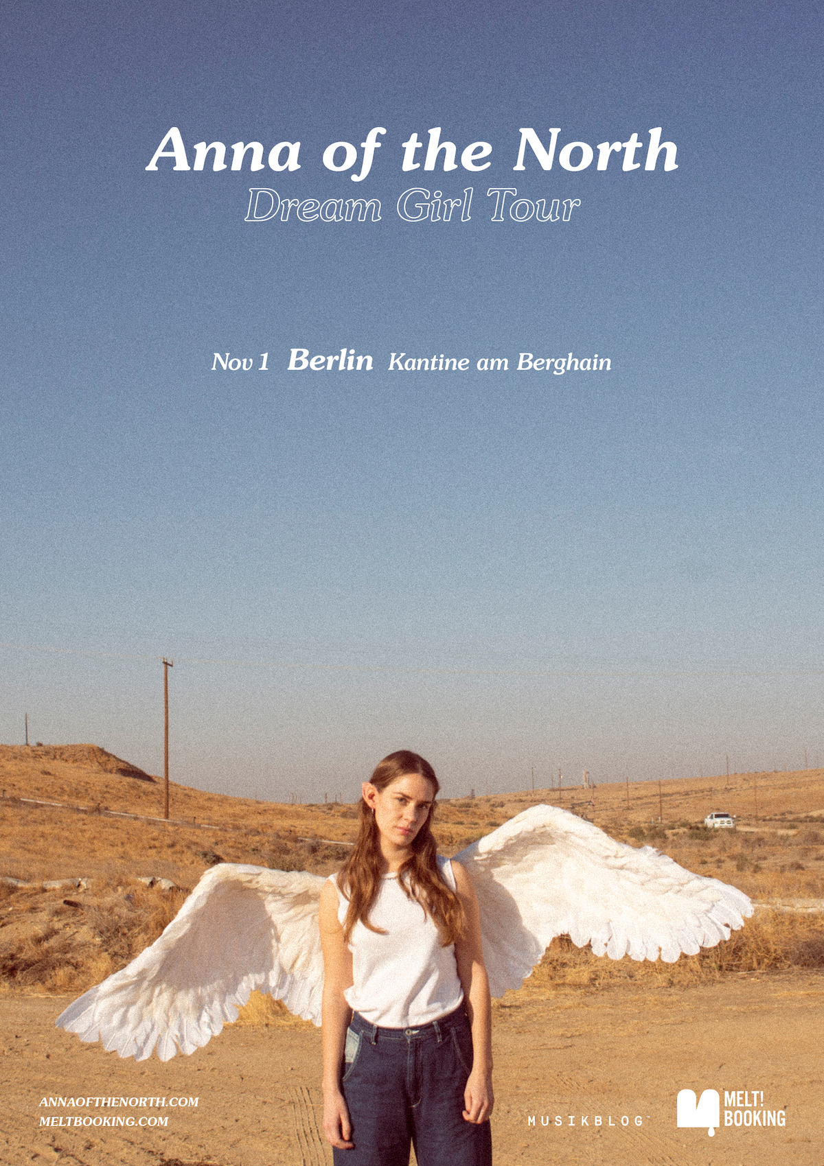 Anna Of The North (Tourposter)